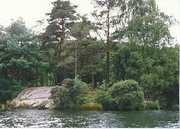 Cormorant Island